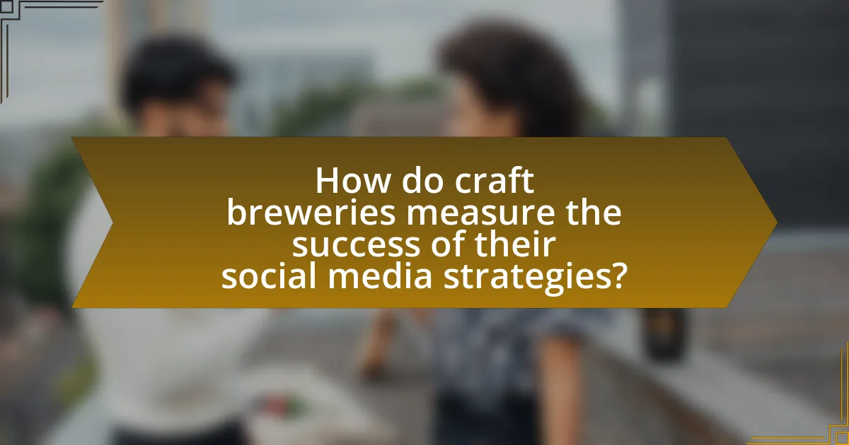 How do craft breweries measure the success of their social media strategies?