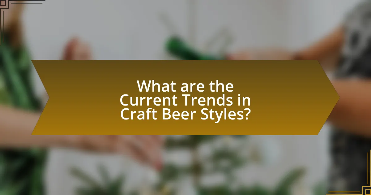 What are the Current Trends in Craft Beer Styles?