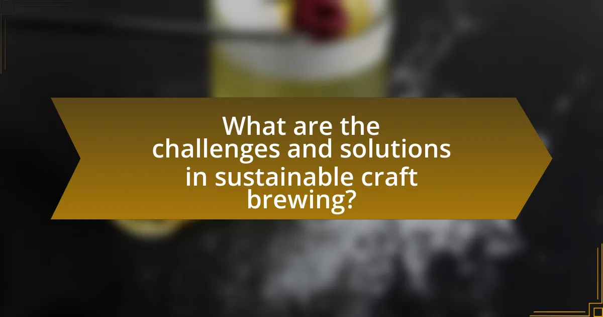 What are the challenges and solutions in sustainable craft brewing?