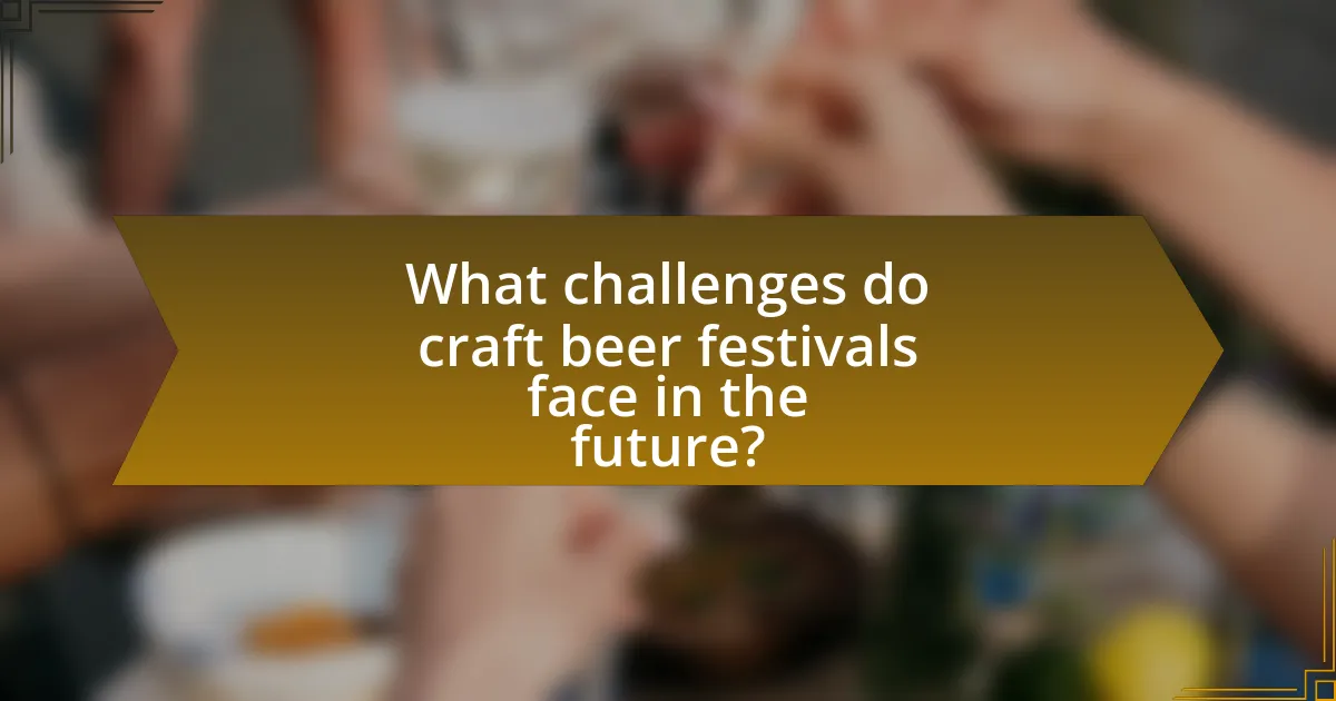 What challenges do craft beer festivals face in the future?