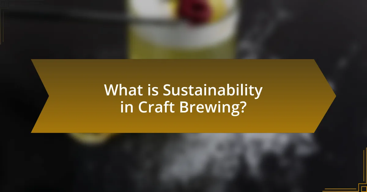What is Sustainability in Craft Brewing?