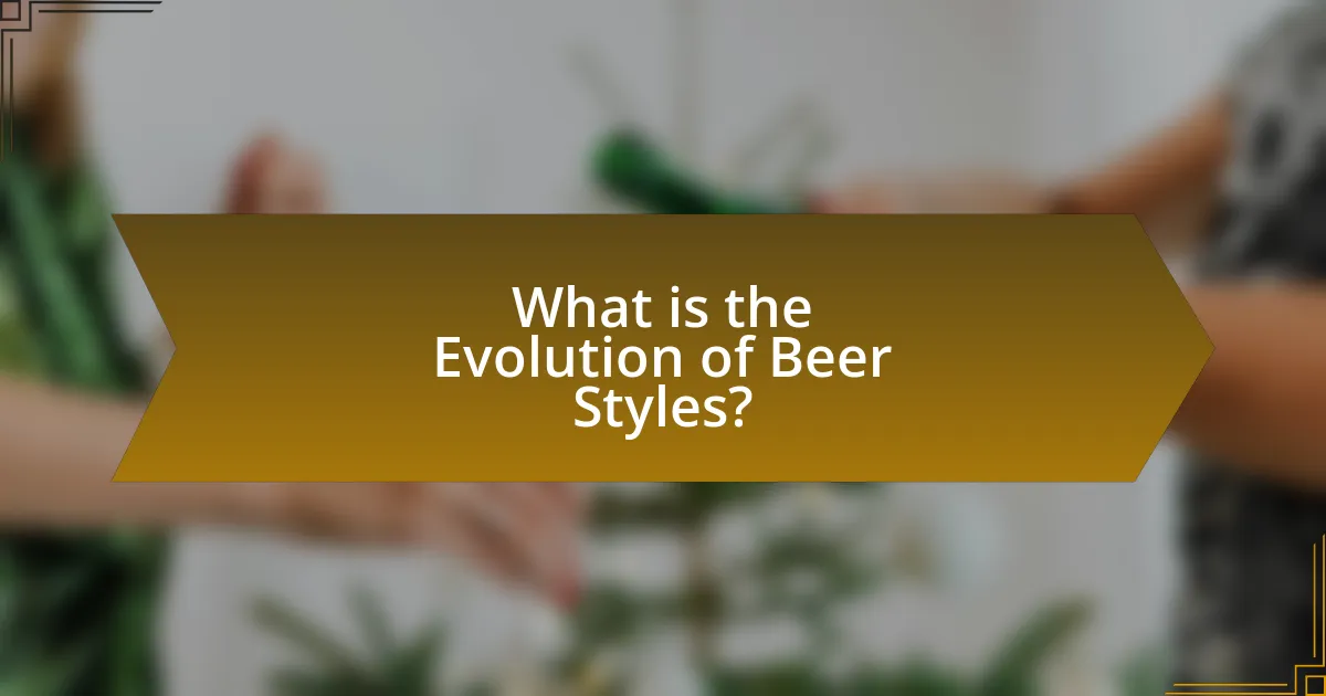 What is the Evolution of Beer Styles?