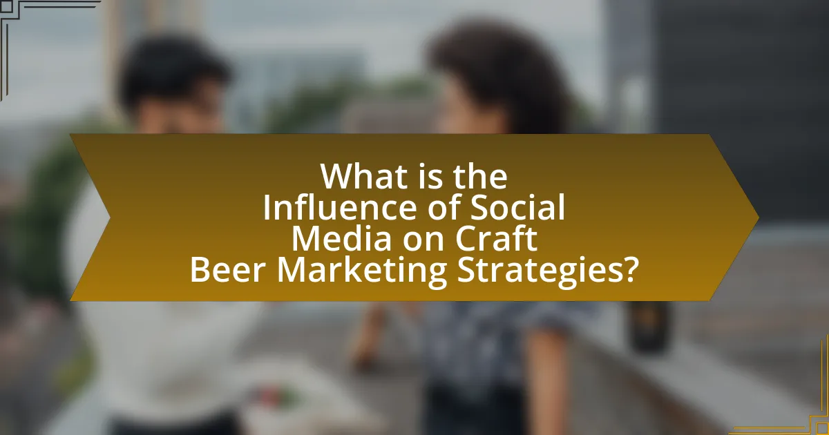 What is the Influence of Social Media on Craft Beer Marketing Strategies?