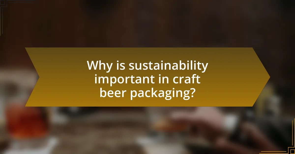 Why is sustainability important in craft beer packaging?